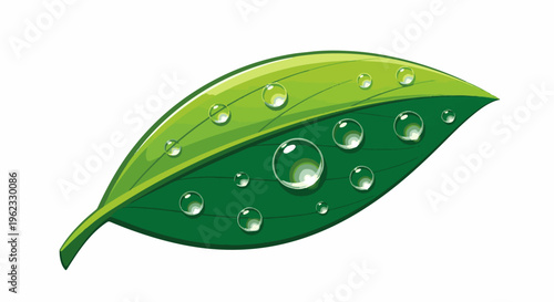 Close-up of a green leaf with many transparent water droplets