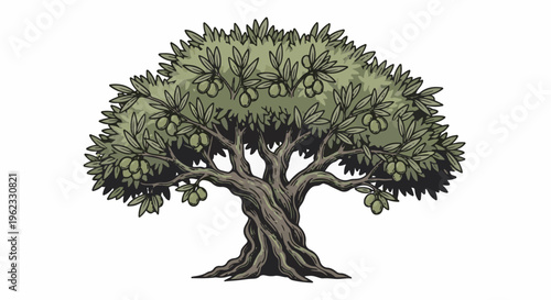 Cartoon-style olive tree with gnarled trunk and green olives