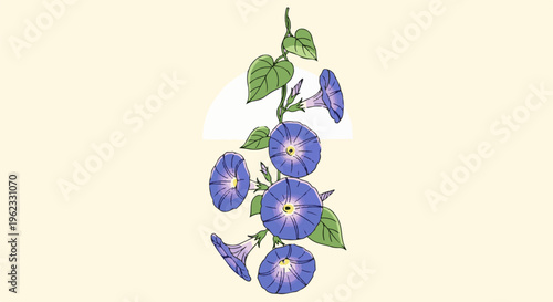 Blue morning glory flowers with green leaves on a pale yellow background
