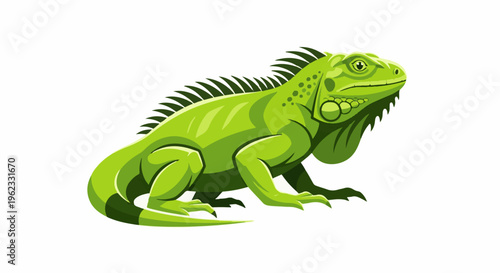 Bright green iguana with spiky dorsal crest and dewlap
