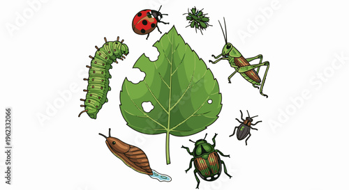 Cartoon insects and a chewed green leaf arranged in a circle