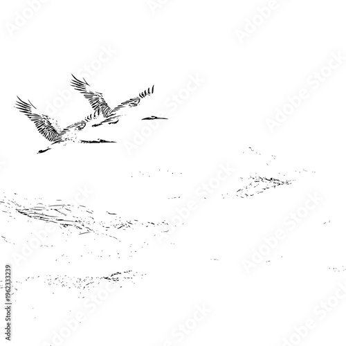 Minimalist ink drawing of two elegant cranes soaring gracefully over a calm water surface featuring delicate brushstrokes and zen inspired artistic composition style