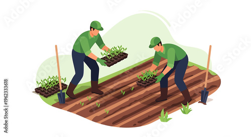 Two gardeners planting seedlings in a garden bed.