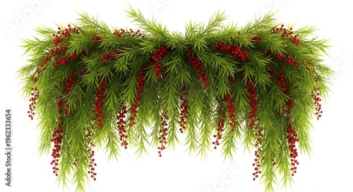 Green and red hanging plant isolated on transparent background