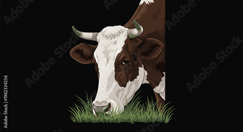 Brown and white cow grazing in a field of green grass