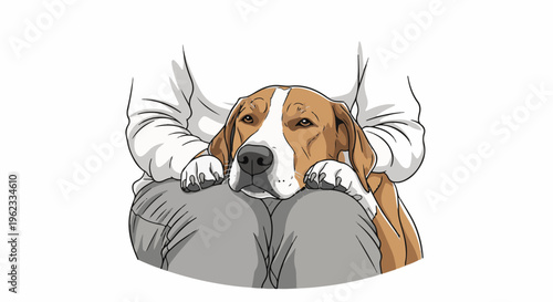Brown and white dog resting its head on a person's lap
