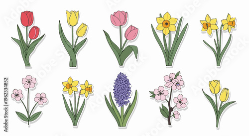 Collection of colorful spring flowers in a clean, stylized illustration