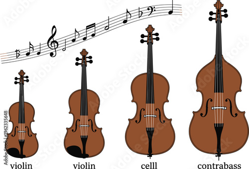 String instrument family vector illustration featuring violin cello and contrabass with musical notes isolated on white background.