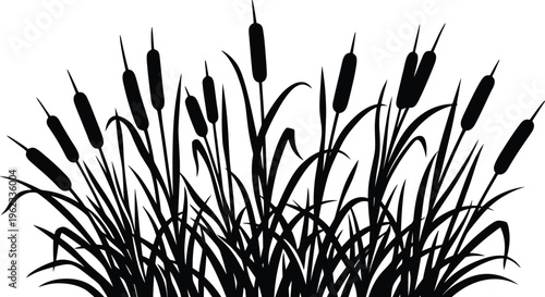Black cattail reeds silhouette marsh grass nature botanical vector illustration