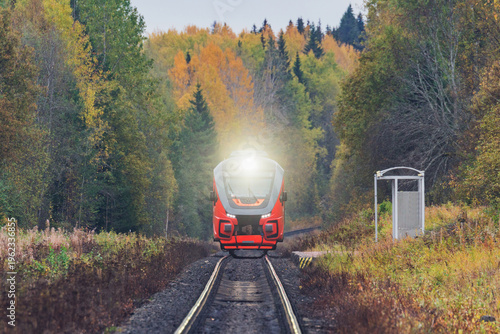 Diesel train moves in the autumn forest.