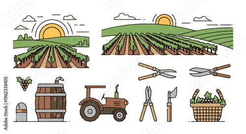 Vineyard Farming Tools and Equipment Illustration.