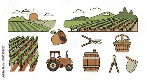 Vineyard farming elements with tractor and harvest basket.