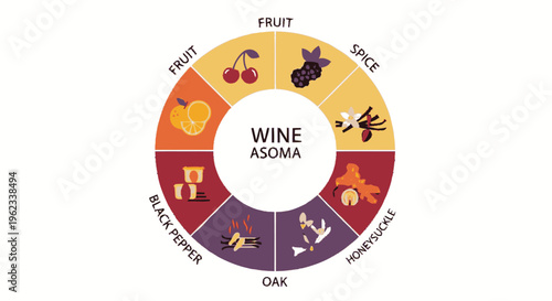 Wine Aroma Wheel Diagram Illustrating Flavor Profiles.