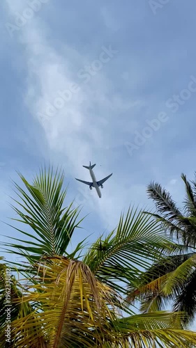 The plane glided smoothly above the coconut trees against a clear blue sky.