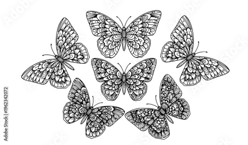 Magical butterfly mandala coloring page with intricate floral wings line art for adult relaxation and stress relief
