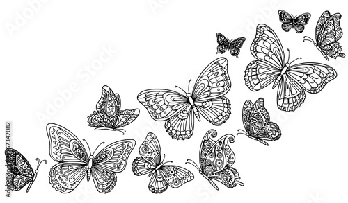 Fantasy butterfly coloring page with geometric and ornamental wing patterns for adult creative art therapy