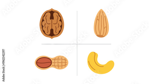 Four types of nuts and seeds displayed in a simple illustration format