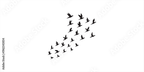 A silhouette vector graphic showing a large flock of birds flying in formation against a plain white background