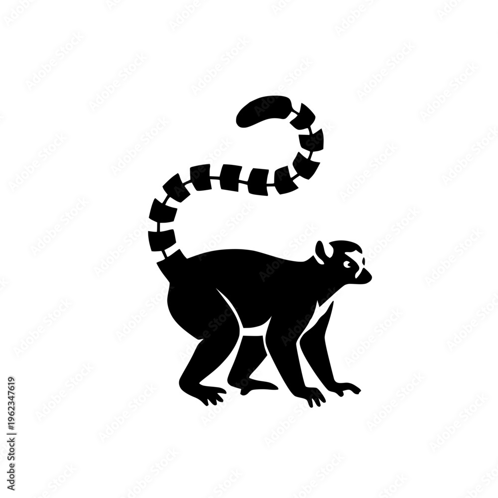Fototapeta premium Standing Ring-tailed Lemur Silhouette