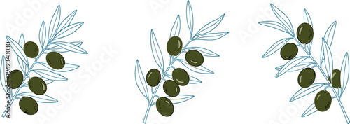Olive Branch Illustration Set with Green Olives and Leaves in Hand Drawn Style for Organic Food, Mediterranean Cuisine, and Natural Product Branding