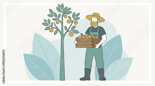 Farmer harvesting fresh apples from a fruit tree into a wooden crate illustration