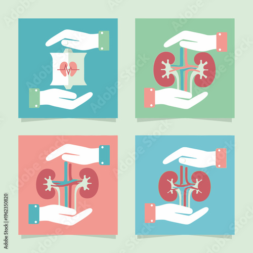 Hands protect human organs: heart, kidneys. Medical insurance, health care concept.