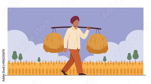 Indian farmer carrying hay bales on yoke in a grain field, rural agriculture