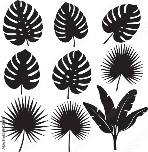 Tropical leaves silhouette collection featuring monstera and palm fronds vector illustration on transparent background for decor.