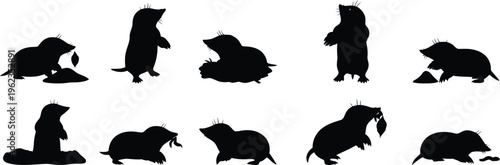 Silhouette of various dog breeds in different poses and sizes