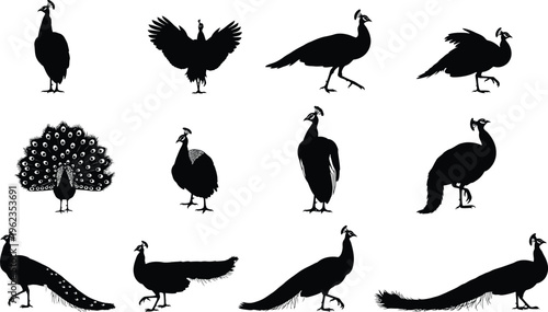 Silhouette of various peacock poses and a tree with silhouette black and white image