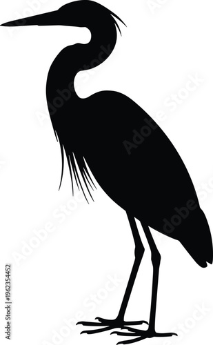Elegant black silhouette of heron bird standing upright with long neck, pointed beak, slender legs, and feather details, perfect for nature, wildlife, and artistic design.