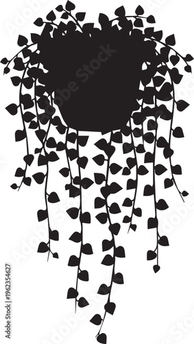 Hanging plant silhouette with trailing heart shaped leaves in decorative pot for indoor garden and interior home decor concepts.