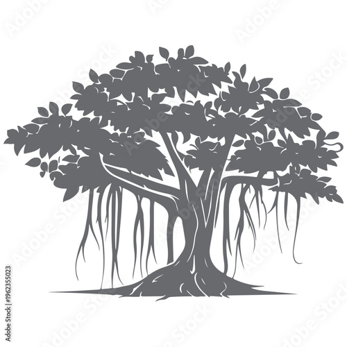 Photos Exotic Tropical Tree Silhouette with Hanging Roots