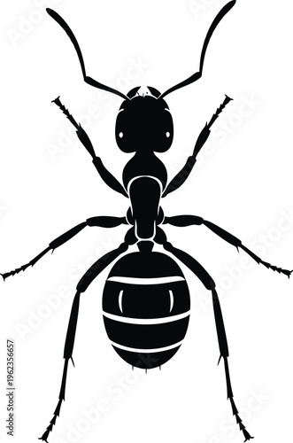 A simple black and white silhouette depicting an ant with visible antennae head thorax and abdomen features is shown high quality