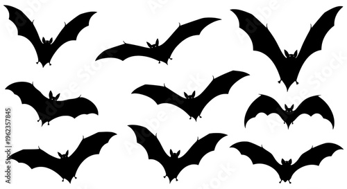 Bats flying black silhouette set with various wing positions and poses featuring bat silhouettes, dark creatures, winged mammals with bat