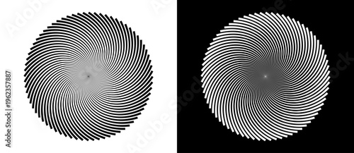 Abstract circular spiral pattern with dense radial curved lines. Minimalist vector illustration of optical illusion sunburst isolated on black and white backgrounds.