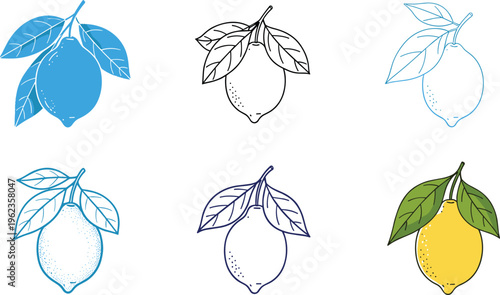 Lemon Illustration Set with Hand Drawn Citrus Fruit Variations Outline and Color Styles Collection for Food Design, Packaging, and Fresh Summer Graphics