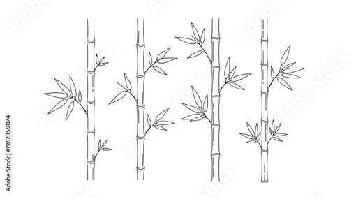 Elegant black and white line art illustration showing several stalks of bamboo with delicate leaves in a minimalist style.