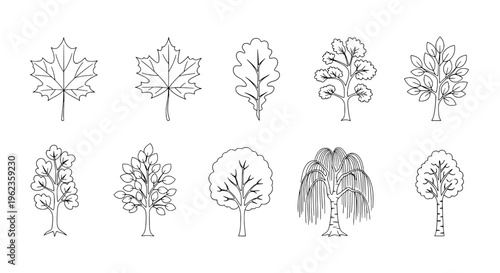 Trees hand drawn set with black line art styles and various leaf shapes and sizes, including palm and deciduous trees.