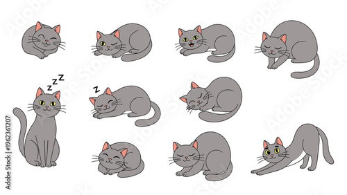 Adorable grey cat illustrations showing a feline in various poses such as sleeping, stretching, sitting, and playing around.