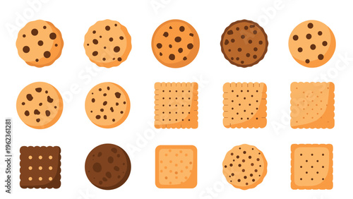 Assorted types of sweet cookies and savory crackers including chocolate chip and square biscuits for snacks and food illustration projects.