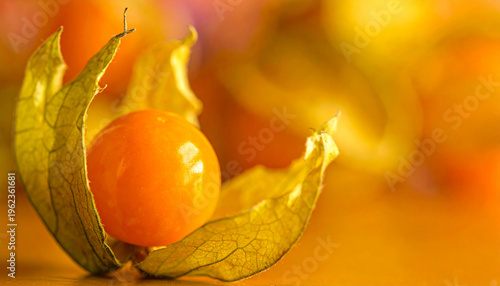 Golden berry with open husk on a warm yellow blurred background macro photography