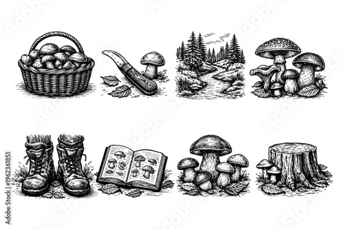 Collection of vintage illustrations depicting mushroom foraging and forest elements