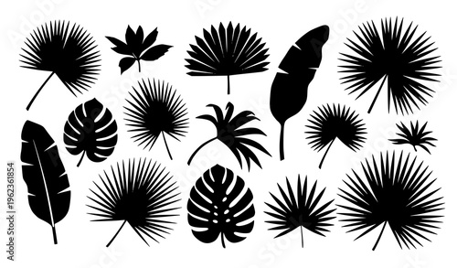 Tropical Palm Leaf Silhouette Vector Set – Exotic Plant Leaves Collection
