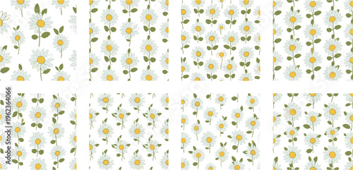Daisy Seamless Pattern Collection with Chamomile Flowers, Floral Backgrounds, Botanical Repeat Patterns Vector Illustration Set