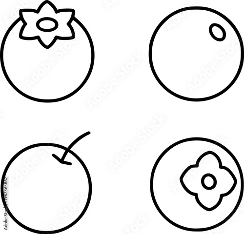 Blueberries illustration set, in outline style, for fruit or food design