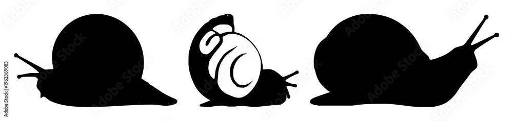 Fototapeta premium Snail set with shell silhouette design featuring soft curves, minuscule outlines, single-tone illustration with nature and marine