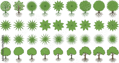 Tree icon collection with diverse foliage canopy root botanical artwork, environmental nature design, vector template set