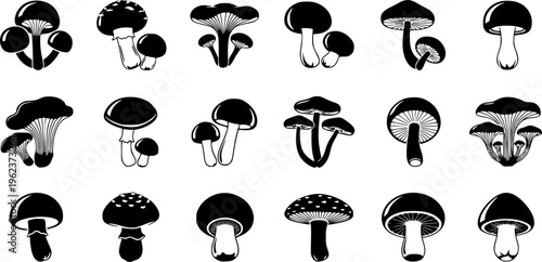 Mushroom silhouette vector icons set, botanical fungi illustration for forest, nature, wild plants, food design, and educational use
