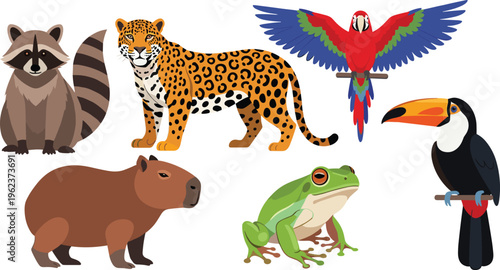 Cartoon wild animals and tropical birds set with raccoon, leopard, capybara, frog, parrot and toucan, colorful wildlife vector illustration isolated on white background